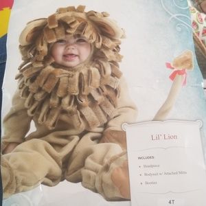 Lion costume